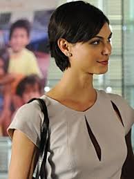 Un grand chercheur est empoisonné pendant une conférence. Erica Flynn The Mentalist Wiki Fandom