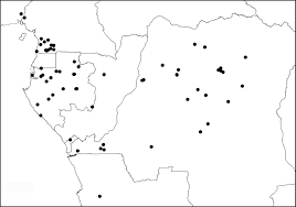 Image result for Oubanguia africana