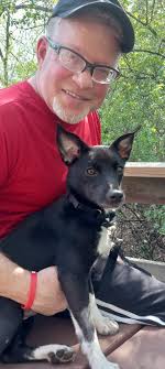 Found black pup near Top Golf in Meridian?