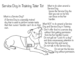 What Every Child Needs To Know About Service Dogs Plus A Fun Way To Teach Them Service Dogs Psychiatric Service Dog Dogs And Kids