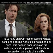 The X Files Episode Home Was So Twisted Dark In 2020 Unbelievable Facts Weird Facts X Files