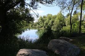 Maybe you would like to learn more about one of these? Whitefish River Picture Of Baker Park And Kate Patterson Playground Whitefish Tripadvisor