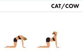 Pin On Yoga