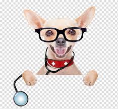 Cardiopulmonary resuscitation, or cpr for cats, is an emergency procedure that hopefully you will never need to use. Cat And Dog Pet First Aid Emergency Kits Chihuahua First Aid Kits Veterinarian Pet Insurance Dog Hiking Petplan Transparent Background Png Clipart Hiclipart