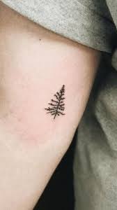 Birch trees are highly adored by many cultures. Stunning Tree Tattoos Designs Ideas Meanings