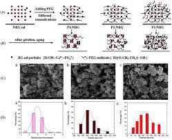 (iii) formation of helmholtz electrical double layer. Versatile Fabrication Of Nanoscale Sol Gel Bioactive Glass Particles For Efficient Bone Tissue Regeneration Journal Of Materials Chemistry Rsc Publishing Doi 10 1039 C2jm31384g