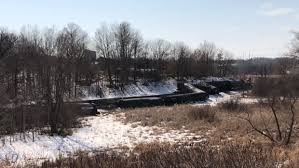 Man, 25, dies after his pickup is struck by freight train