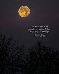 Pin By Debanjan Chakravorty On Zen Haiku Poems Nature Poem Earth Poems