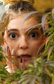 High! Canada Magazine Issue #77