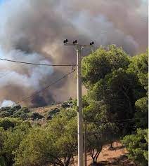 Φωτιά έχει ξεσπάσει σε δασική έκταση στην περιοχή παλαιοκαμάριζα στο λαύριο αττικής. Gsxg Su6imbpam