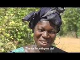 A Visit to Ndeye Thiale's Forest Garden