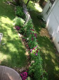 Chain link fence landscaping ideas. Pin On Gardening