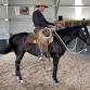 Allan Collett Horsemanship event image