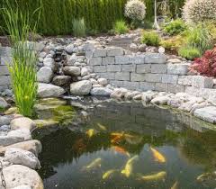 Koiteich Mit Bachlauf Und Natursteinmauer Koiteich Koi Teich Fische Natursteinmauer Gartengestaltung Inspiratio Gartengestaltung Privatgarten Fischteich