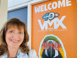 Goodnewsforpets (@goodnewsforpets) • Instagram photos and videos