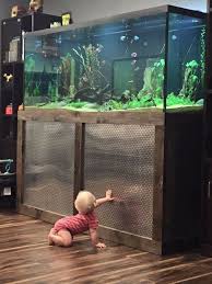 B966836f12ab1d1d47aa8f6fe5272f00 Jpg 600 800 Pixels Aquarium Fish Tank Aquarium Fish Saltwater Fish Tanks