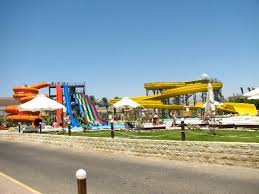 We did not find results for: Aquapark Picture Of Royal Albatros Moderna Nabq Bay Tripadvisor