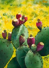 This post will teach you all about how to propagate prickly pear cactus pads. Watercolor Of A Prickly Pear Cactus Michelle Levesque Knie Paintings Prints Flowers Plants Trees Plants Cactus Cacti Artpal