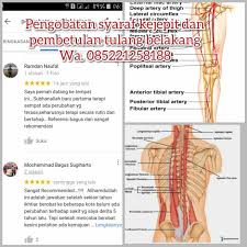 Tulang belakang merupakan salah satu jenis tulang yang penting peranannya untuk keseimbangan tubuh. Jangan Anggap Remeh Syaraf Kejepit Pijat Tulang Belakang Bandung Cimahi Pengobatan Syaraf Kejepit Bandung Cimahi Alternatif Syarakejepit Bandung Cimahi P Terapi Penyakit Pijat