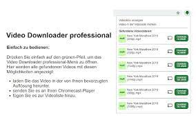Here we list 30 great video downloading software for your choose. Video Downloader Professional