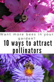 We did not find results for: 10 Ways To Attract Bees To Your Garden Feathers In The Woods
