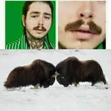 I Ll Just Leave This Here Album On Imgur