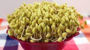 Perawatannya yaitu dengan pemupukan 1 kali / minggu (pupuk cair). Jenis Tumbuhan Yang Cepat Tumbuh Dan Bisa Dipanen Dalam Waktu Singkat Ilmubudidaya Com