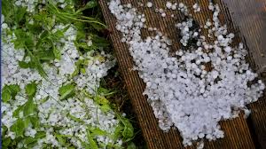 Angefangen 1924 als fc murnau bis heute. Vollgelaufene Keller Und Entwurzelte Baume Nach Gewitter In Bayern The Weather Channel Artikel Von The Weather Channel Weather Com