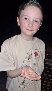 My aunt took the photo of this beautiful moth that was at her house. What  is it called?