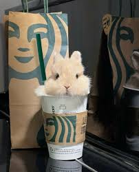 JUST SAY HI! so WE KNOW YOU ARE STILL ACTIVE IN THIS GROUP.