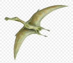 Dinosaur Size Quetzalcoatlus Flight Pterosaurs Rhamphorhynchus ...