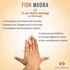 Pin By Nina On Favorite Mudra S Mudras Yoga Information Mudras Meanings