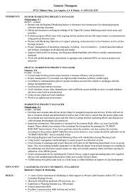 Technical project manager resume example + salaries, writing tips and information. Marketing Project Manager Resume Samples Velvet Jobs