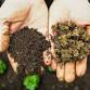 Seed Raising Mix Workshop - Low Waste Living event image