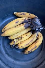 Bananas usually need warmth before they can ripe because it is grown tropically and putting them inside the fridge will slow the process of ripening. Does Banana Go Bad How Long Does It Last