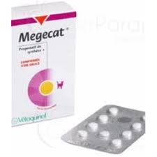We did not find results for: Megecat Comprime Anticonceptionnel Et Antichaleur Pour Chatte Bt 18