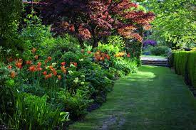 Book Review Kiftsgate Court Gardens Three Generations Of Women Gardeners By Vanessa Berridge Landscape English Country Gardens English Garden Estate Garden