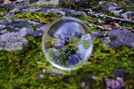 Delaware River Basin Commission|2019 Spring Photo Contest