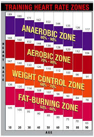 Training Heart Rate Zones Chart Bright