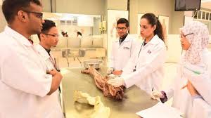 Management and science university msu via www.msu.edu.my. Complete Guide To Study Medical Degree Mbbs In Malaysia