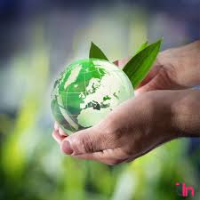 Los desafíos del amoniaco verde como combustible del futuro ...