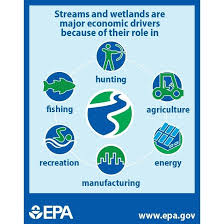 Our Wetlands And Streams Are Important Pollutionisntpretty Stormwater Management Service Learning Projects Told You So