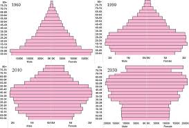 Registration on or use of this site constitutes acceptance of our ter. Population Pyramids For South Korea 1960 1990 2010 And 2030 Source Download Scientific Diagram