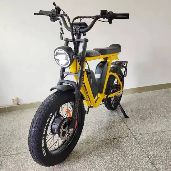 E Bike1000W*2 Dual Motor Bafang Electric Bike Dual Battery 48V ...