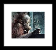 Melancholy Baby Framed Print