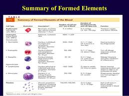 Blood Formation And Composition