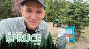 VIDEO: Planting Spruce Trees! ?with Wyse Guide!