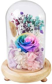 Est.2010, we are canada's country home decor store! Amazon Com Cveue Fe Everlasting Flower Everlasting Rose An Flower Kit For Home Decor Birthday Holiday Party Wedding Anniversary Eternal Rose Gift Everlasting Flower Rose Color Multicolored Home Kitchen