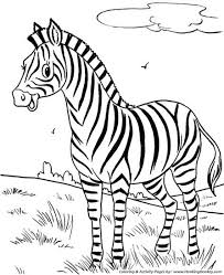Have fun discovering pictures to print and drawings to color. Pin By Capi On Zoo Zoo Animal Coloring Pages Zebra Coloring Pages Animal Coloring Books