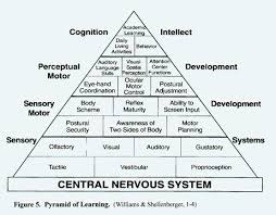 Play With Joy Llc Our Sensory Systems And Learning Sensory Integration Sensory System Sensory Integration Disorder